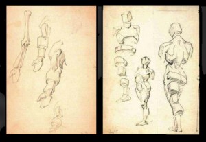 George Bridgman drawings from Norman Rockwell Museum collection.